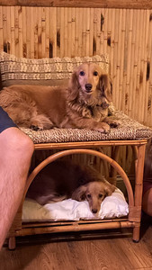 IMG_3691.jpeg